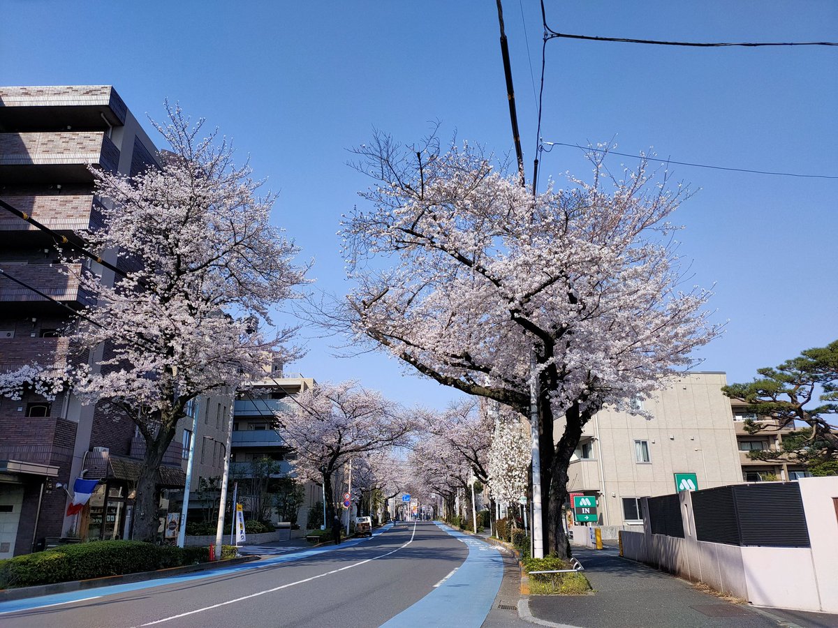 東京ミューズシンフォニックバンド tweet media