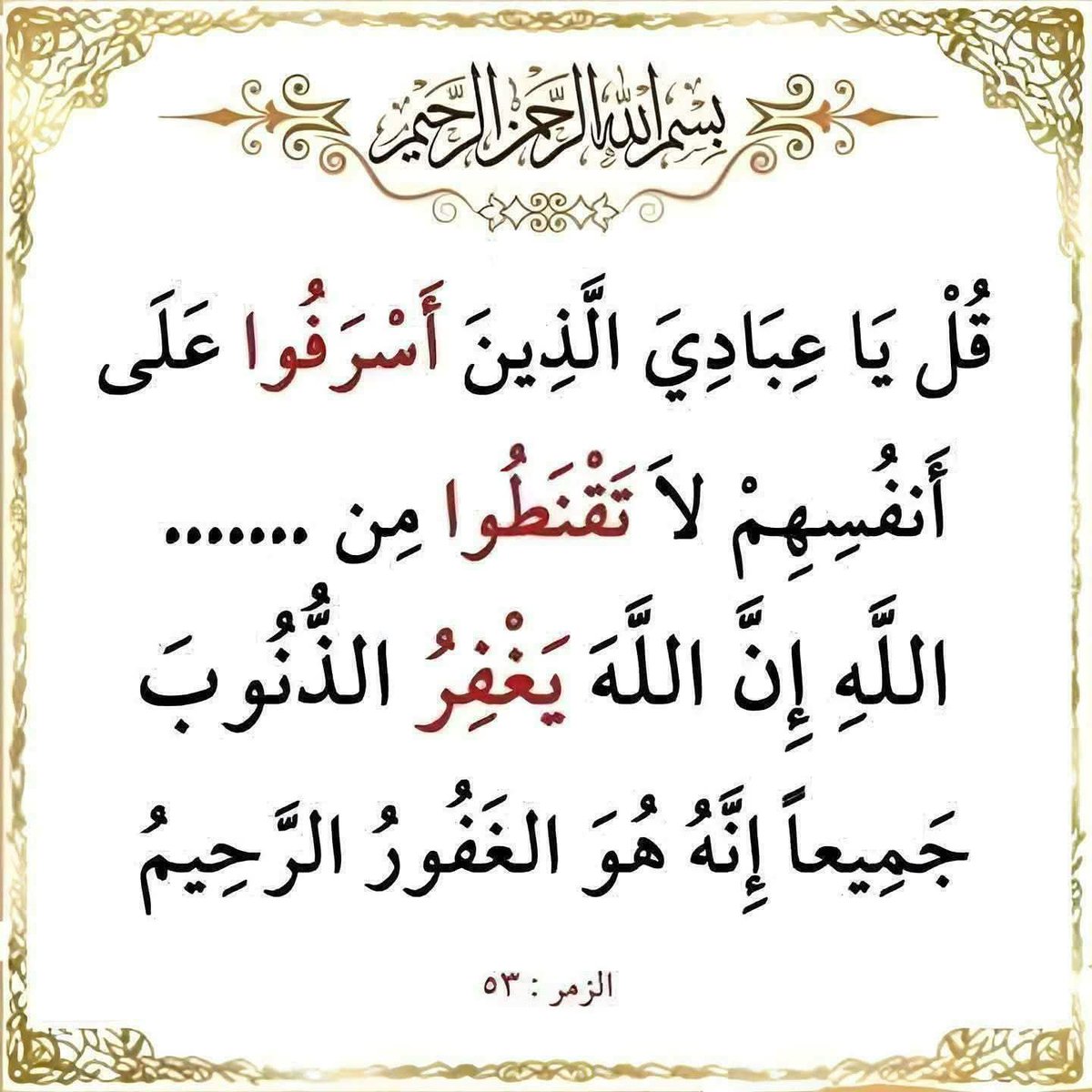 ﴿ القُـرآن الكَـرِيم ﴾ tweet media