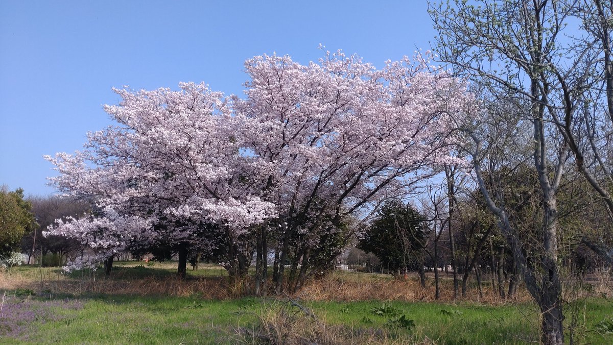 Piggy's Grandma tweet media