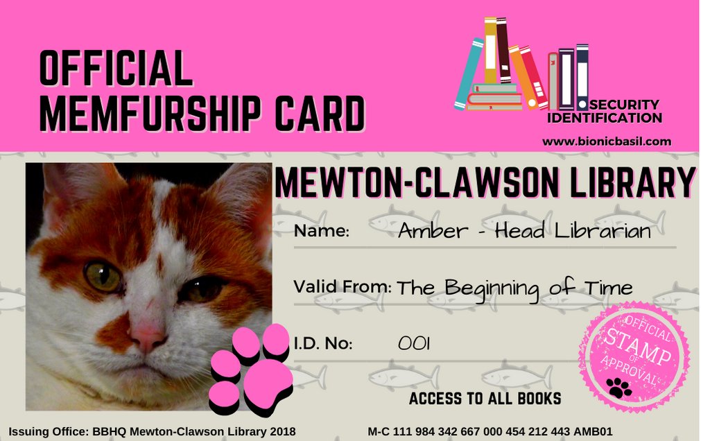 Basil & The B Team tweet media