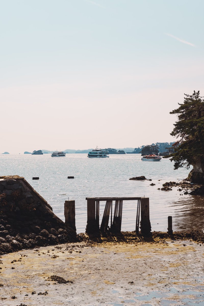 🕊 𓂃𓈒 𓂂𓏸 tweet media