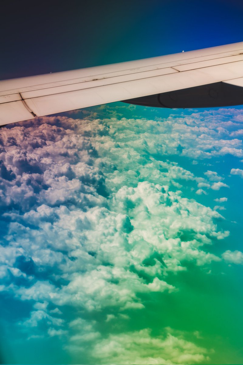 🕊 𓂃𓈒 𓂂𓏸 tweet media