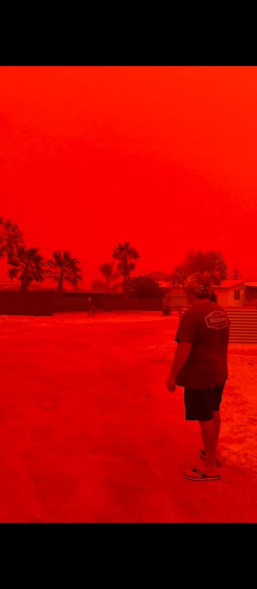 ElRodríguez tweet media