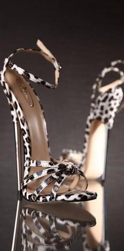 Lady Vanessa tweet media