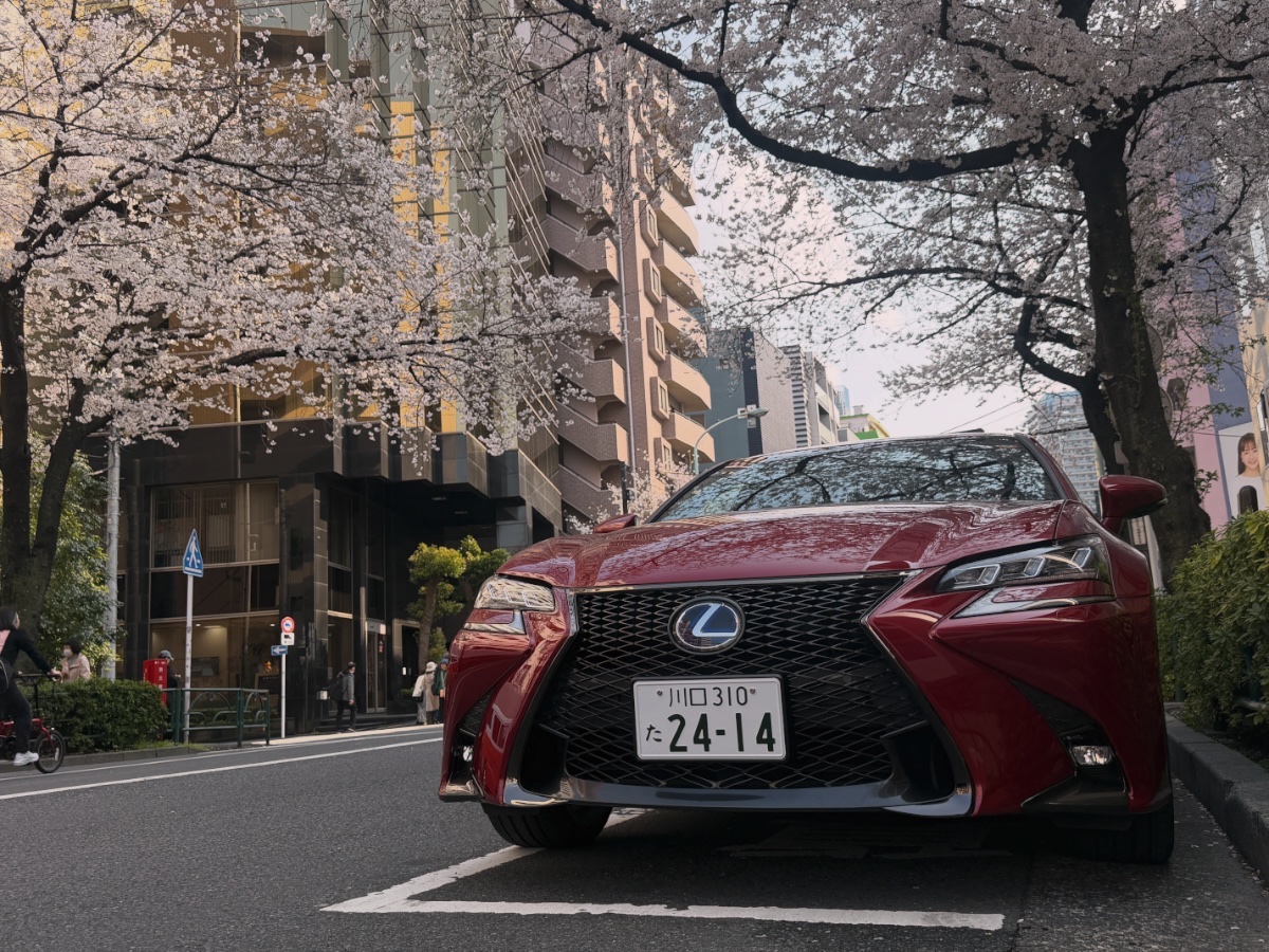 やざっちゃん tweet media