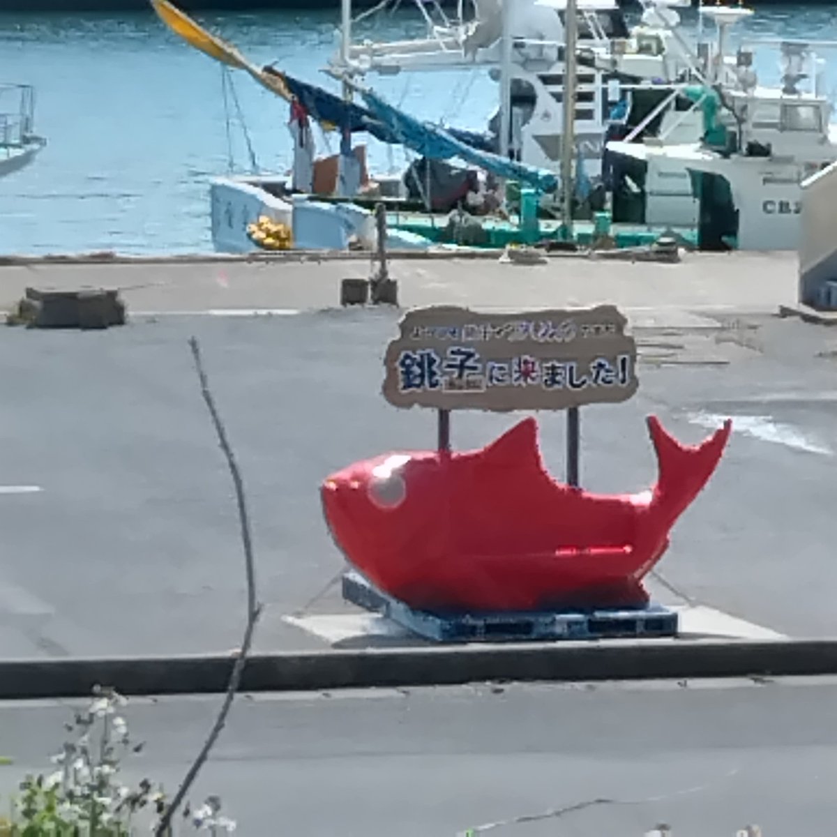 ユーグRena tweet media