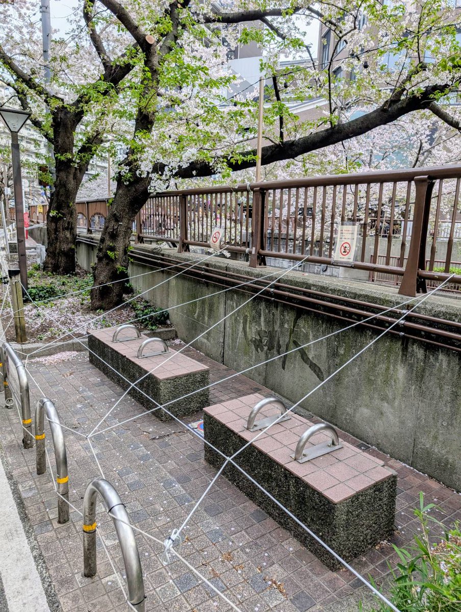 横田 裕市 写真家 tweet media