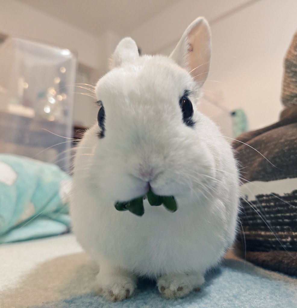 🐰ゆき🤤やこ tweet media