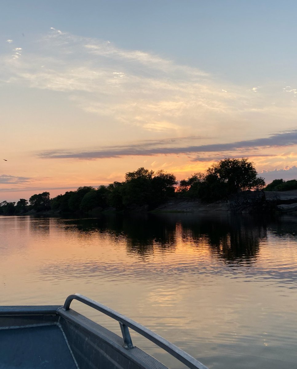 fly_namibia tweet media