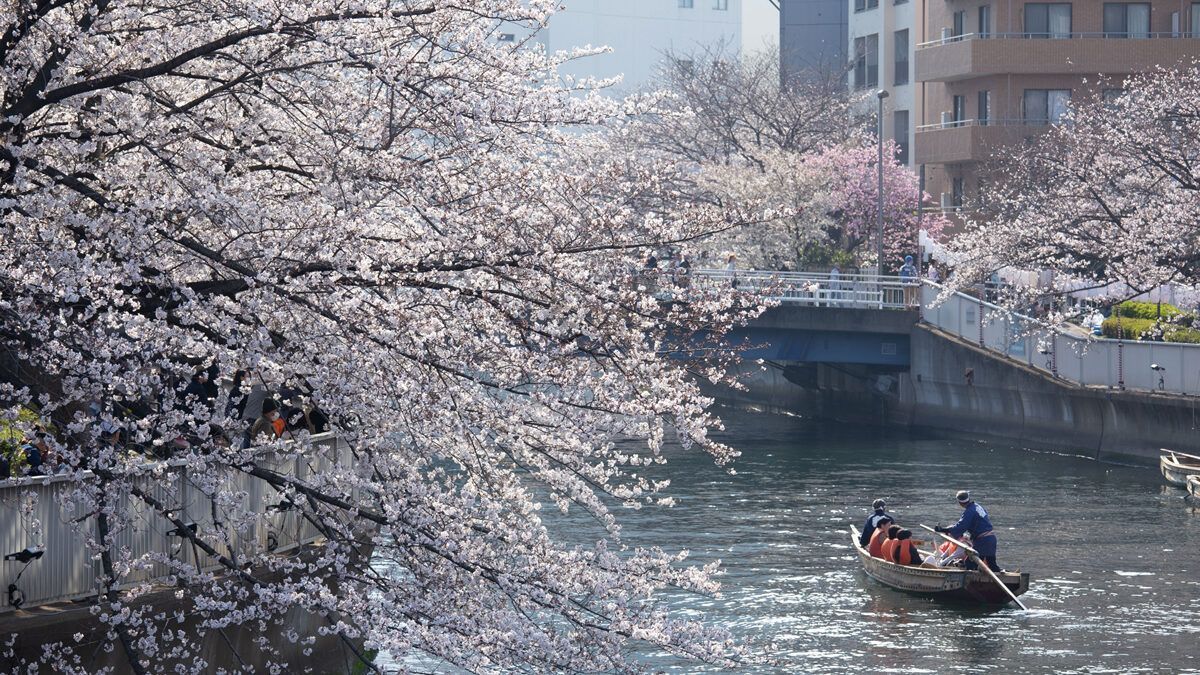 イベントチェッカー製作委員会 tweet media