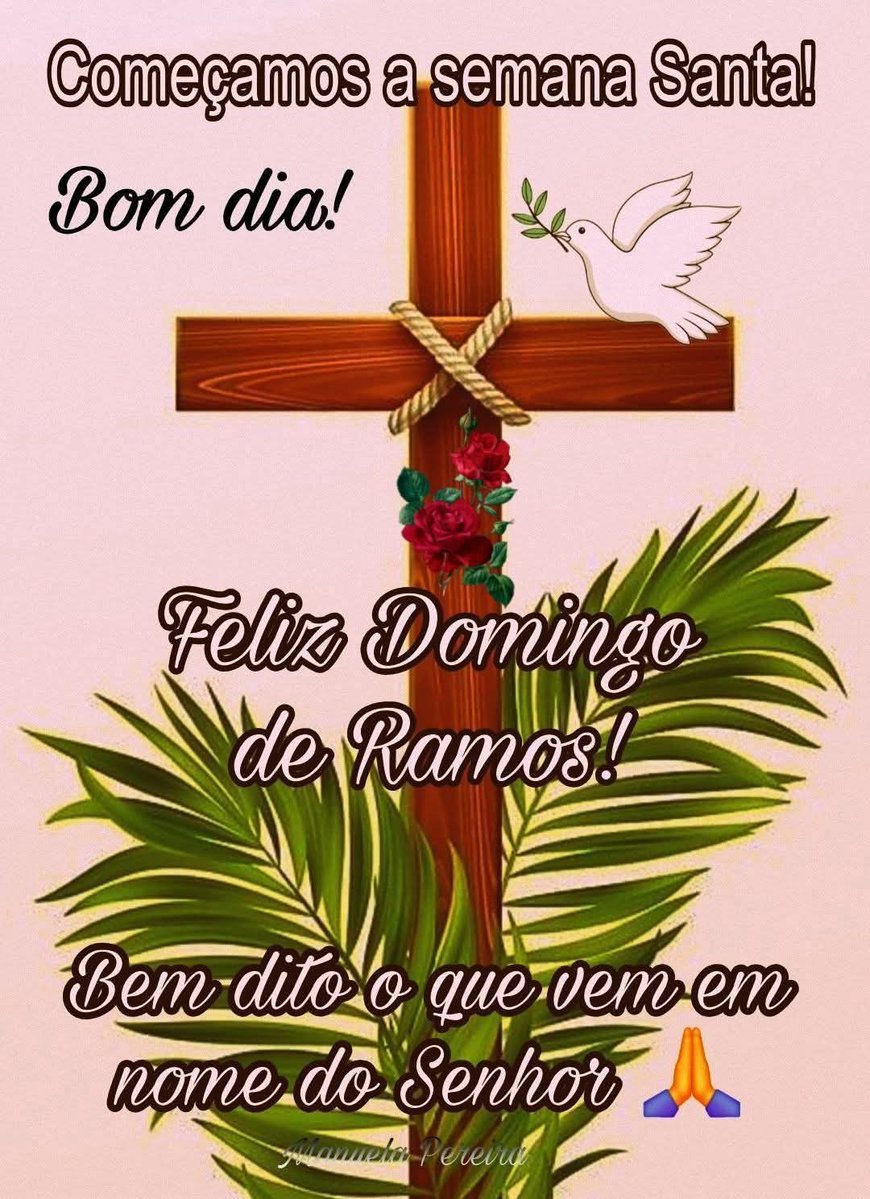 João Batista Silva tweet media