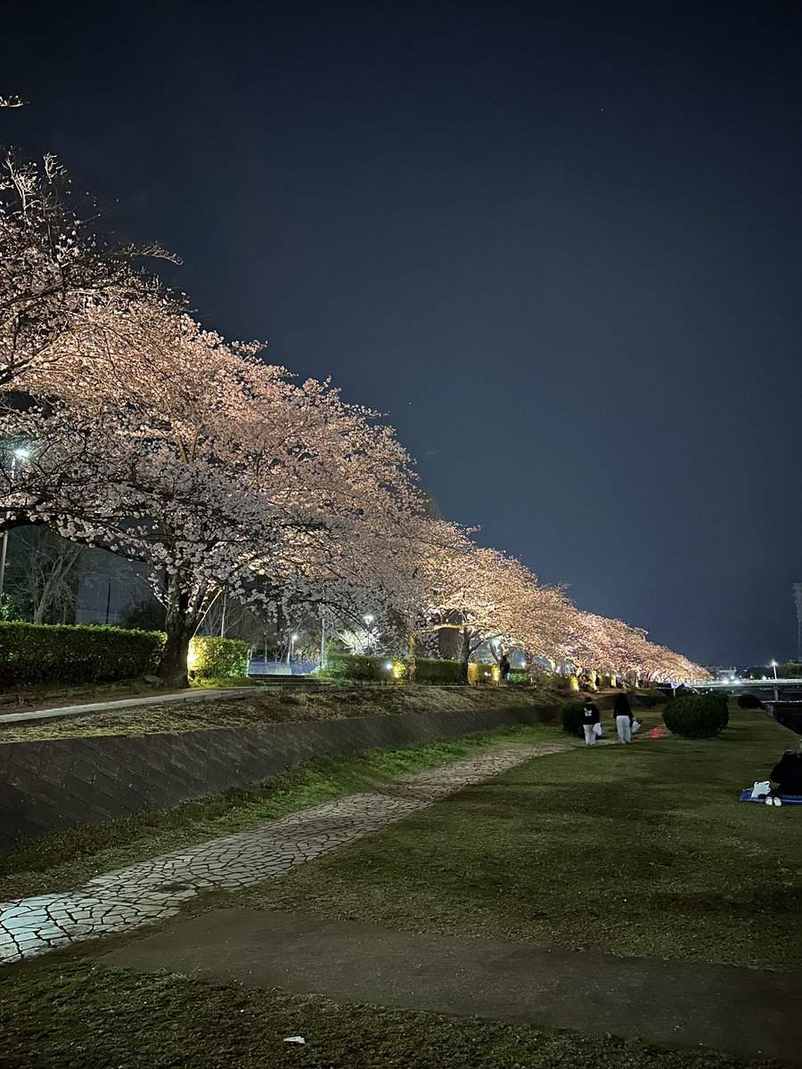 ばしょく おもたん_4/18丹沢ボッカチャレンジ（タイムアタック） tweet media