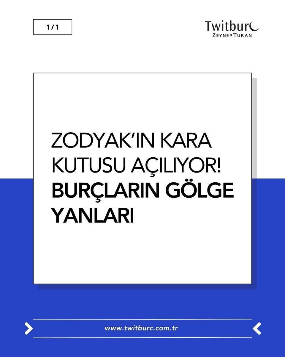 Zeynep Turan tweet media