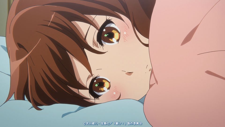 秋人(あきんど) tweet media