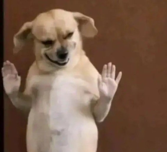 Ms Stephy tweet media