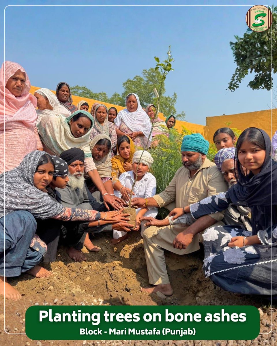 Shah Satnam Ji Green S Welfare Committee tweet media