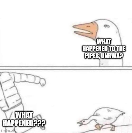 Sam Nissim tweet media