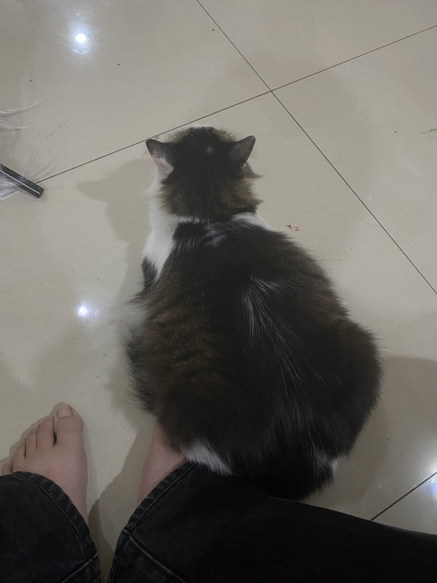 yagaichi97 tweet media