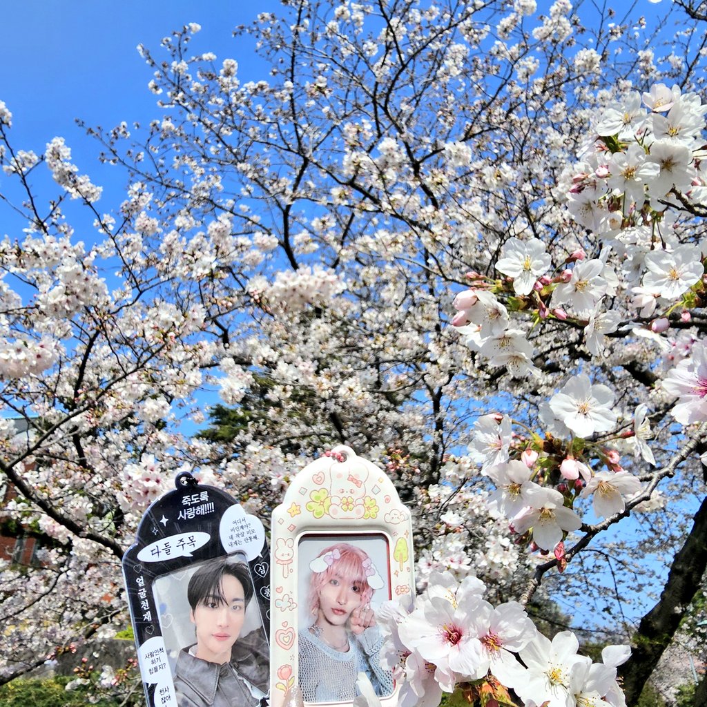 ᴴʷᵃᵐᵒ tweet media