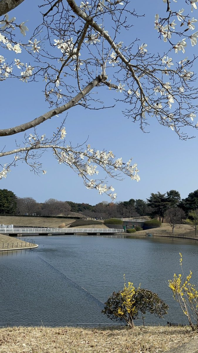 koko🏍垢 tweet media