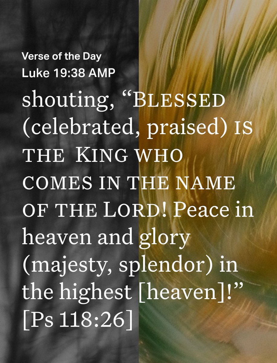 Brad Simmons tweet media