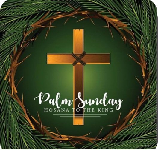 Rich Vaccaro tweet media