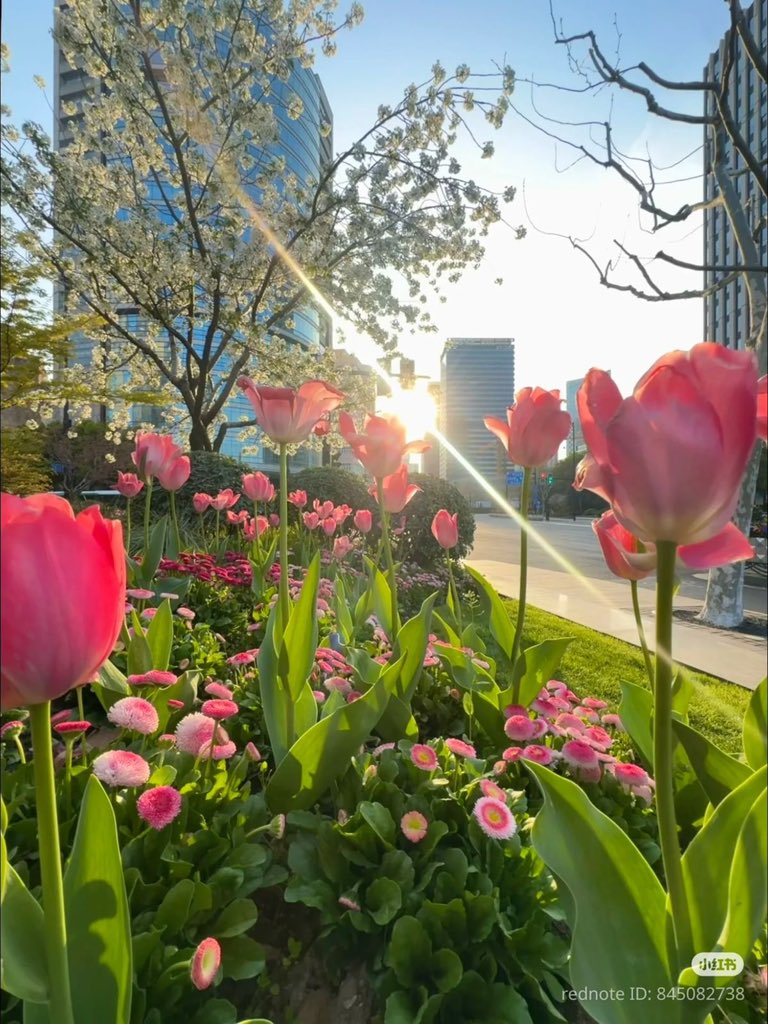 Purely Green tweet media