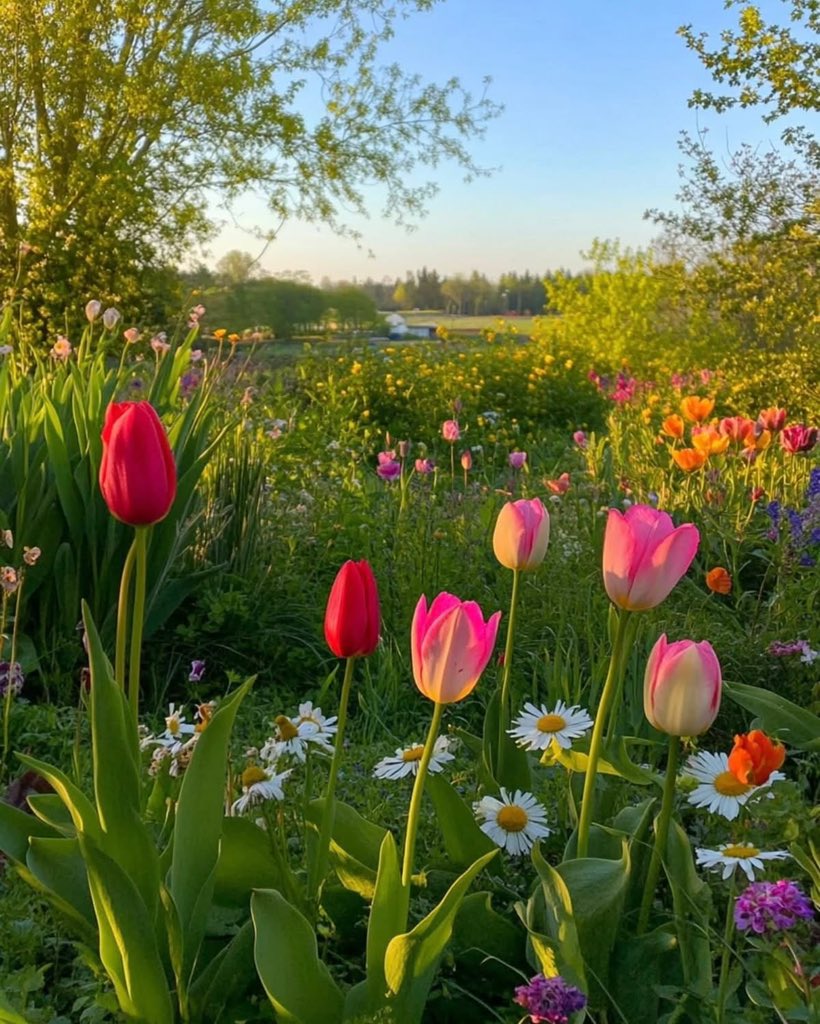 Purely Green tweet media