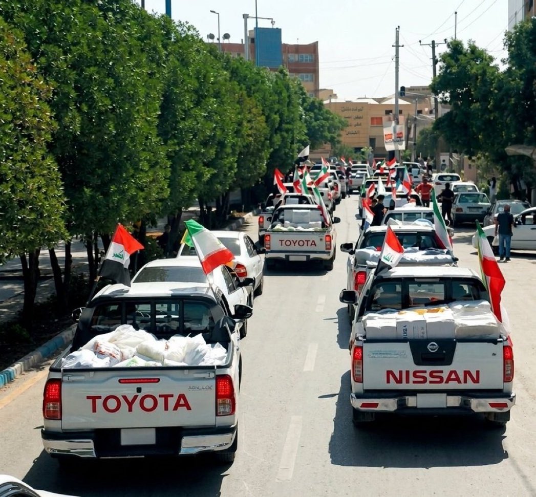 Safaa Subhi صفاء صبحي tweet media