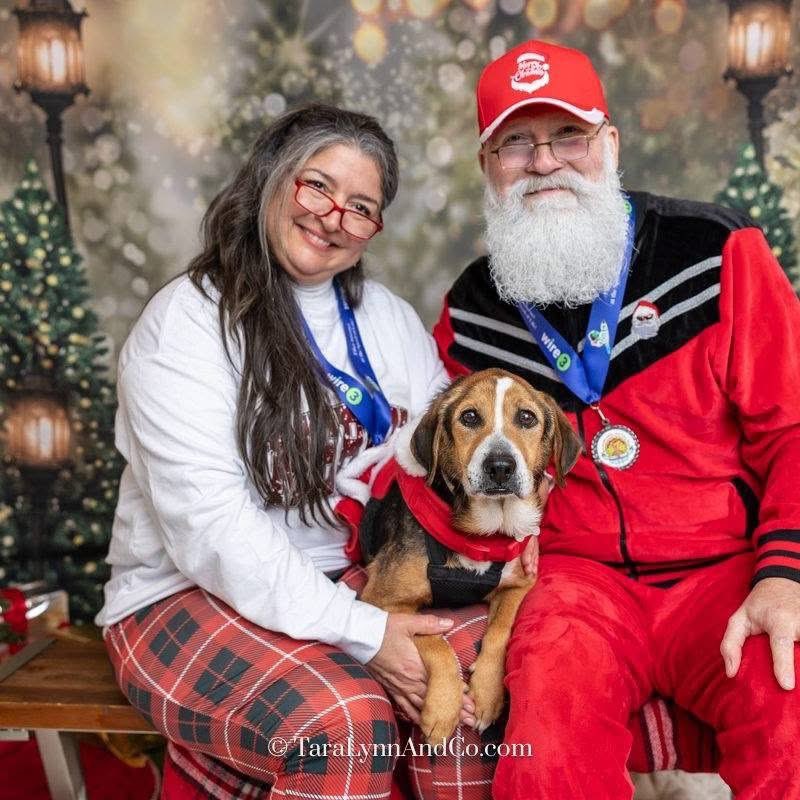 TriBeagles tweet media