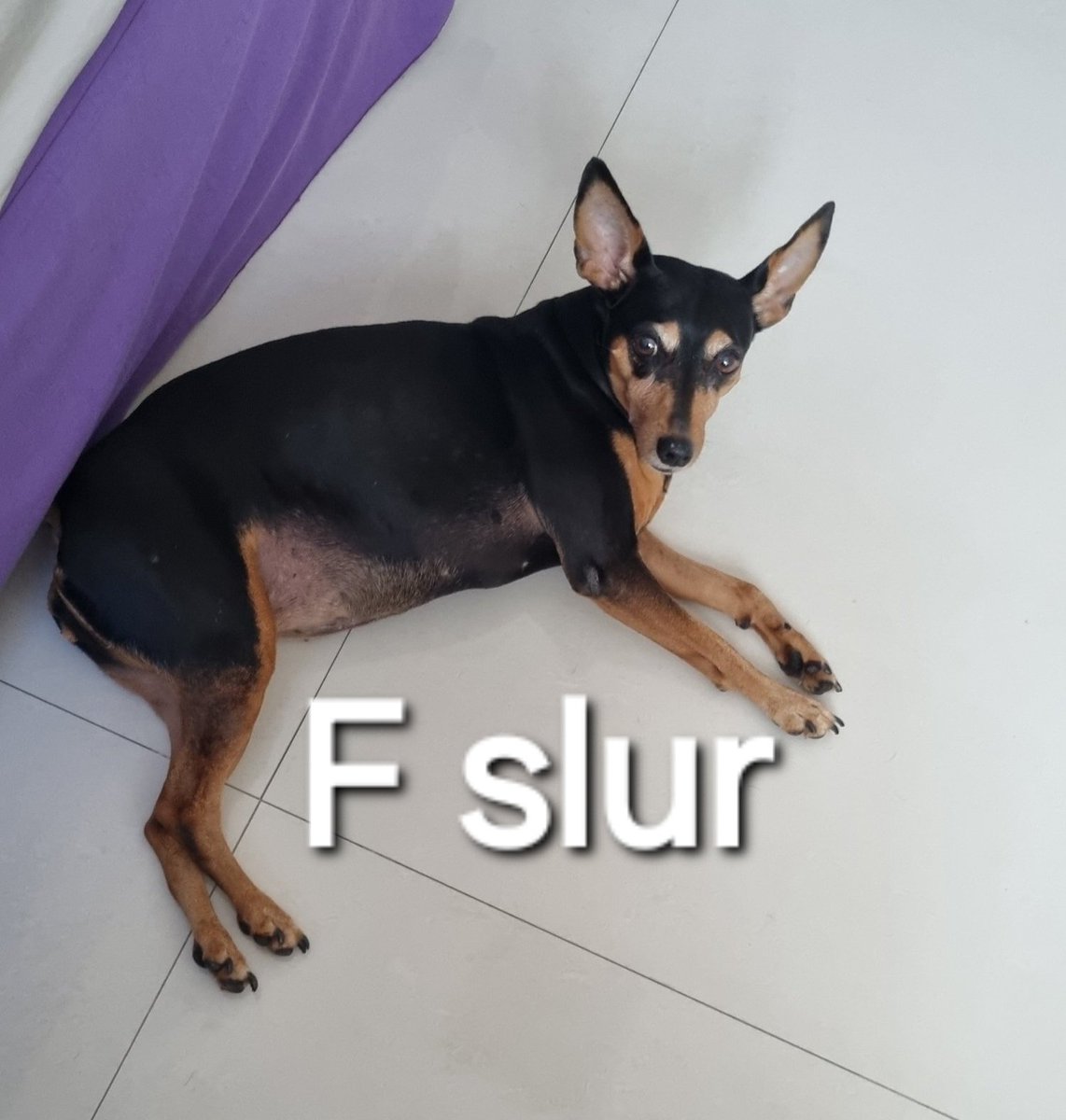 mirage, the ocean-hued calamity. ★ tweet media