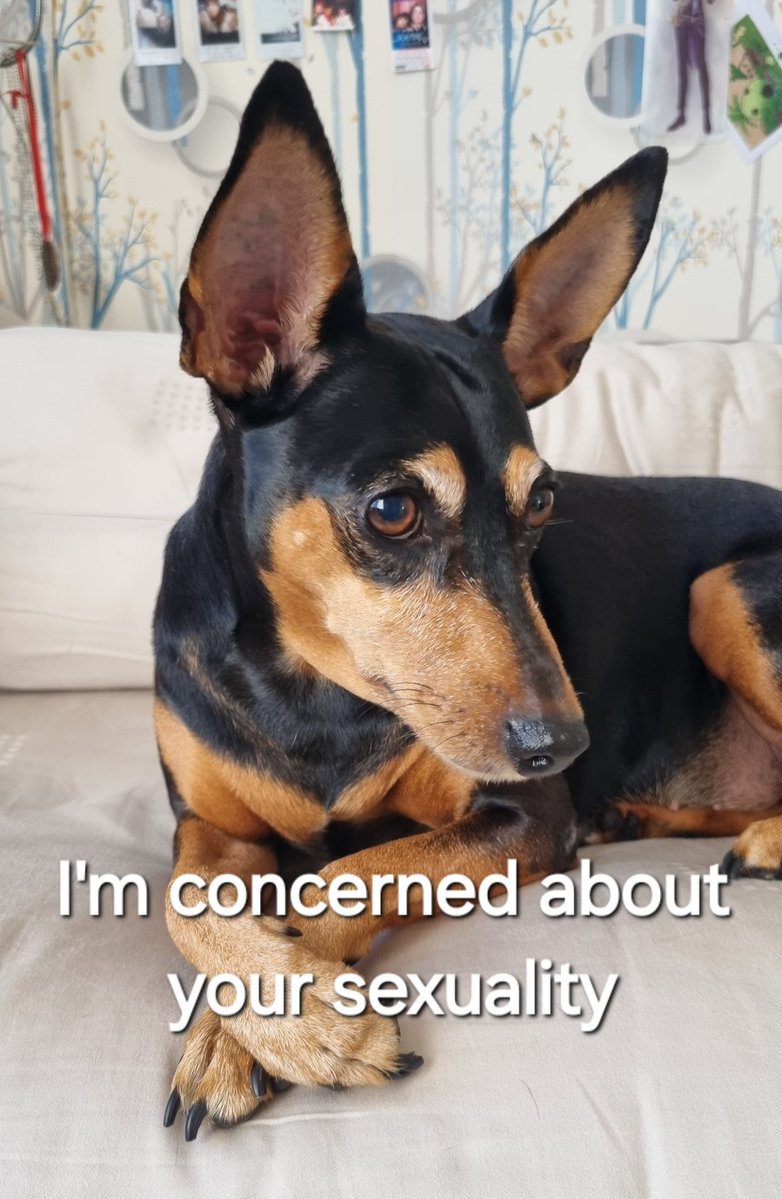 mirage, the ocean-hued calamity. ★ tweet media