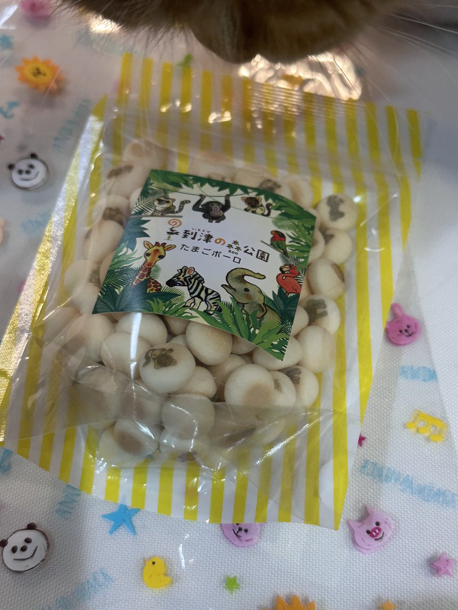 ちびまれ子 tweet media