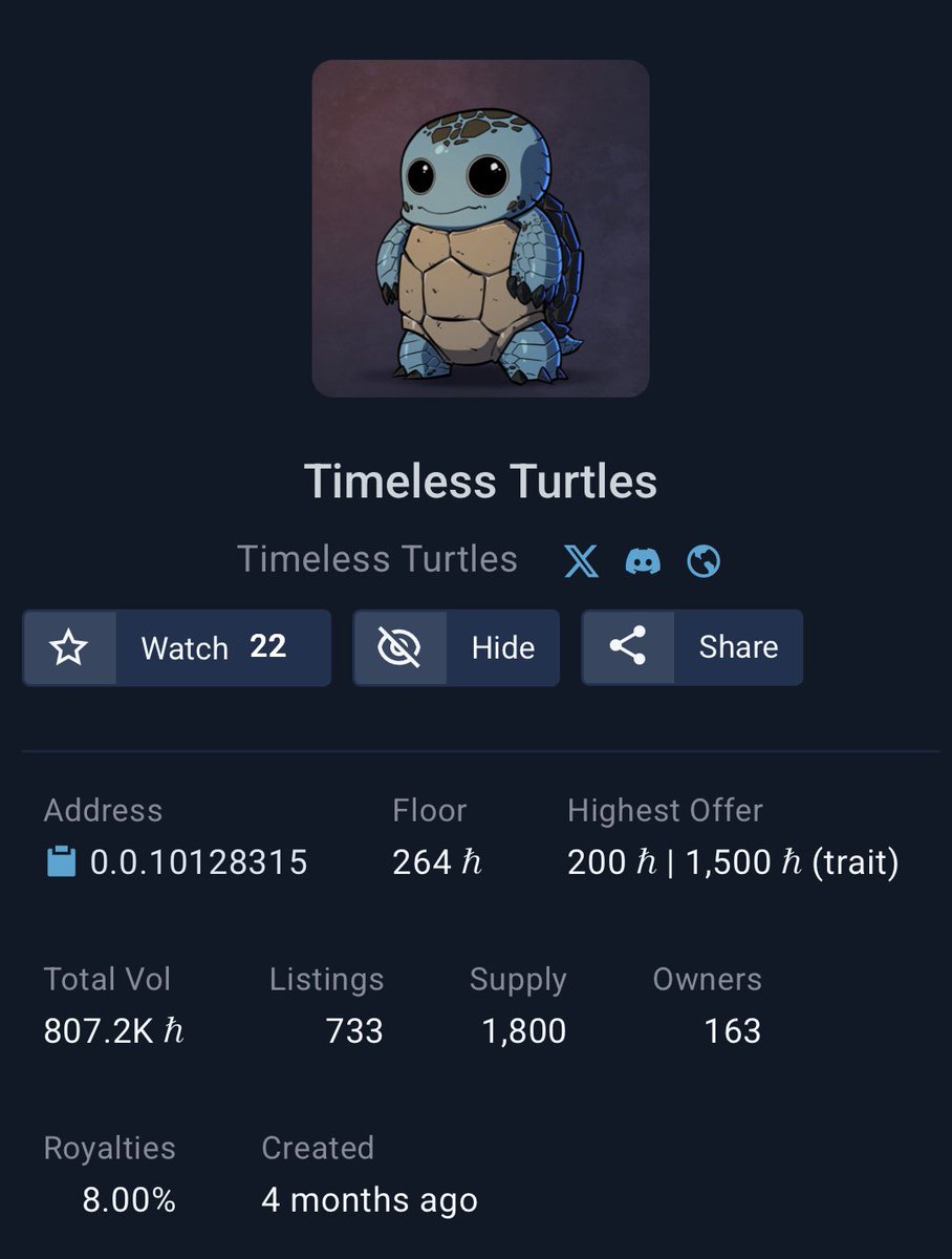 Timeless Turtles tweet media
