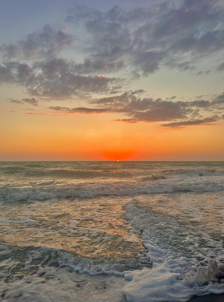 Mira🌺 tweet media