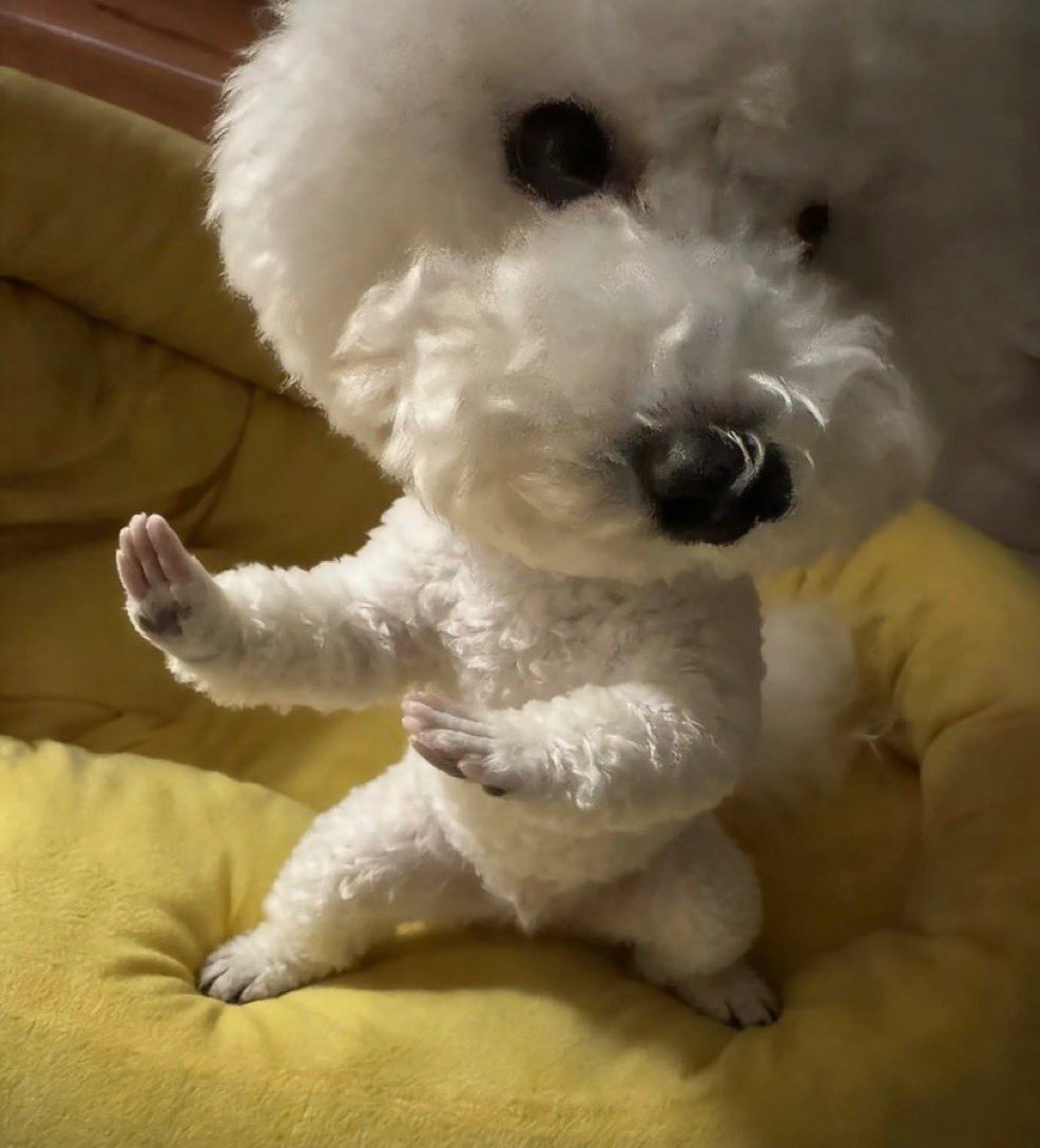 ドド🍎🍌スコ tweet media