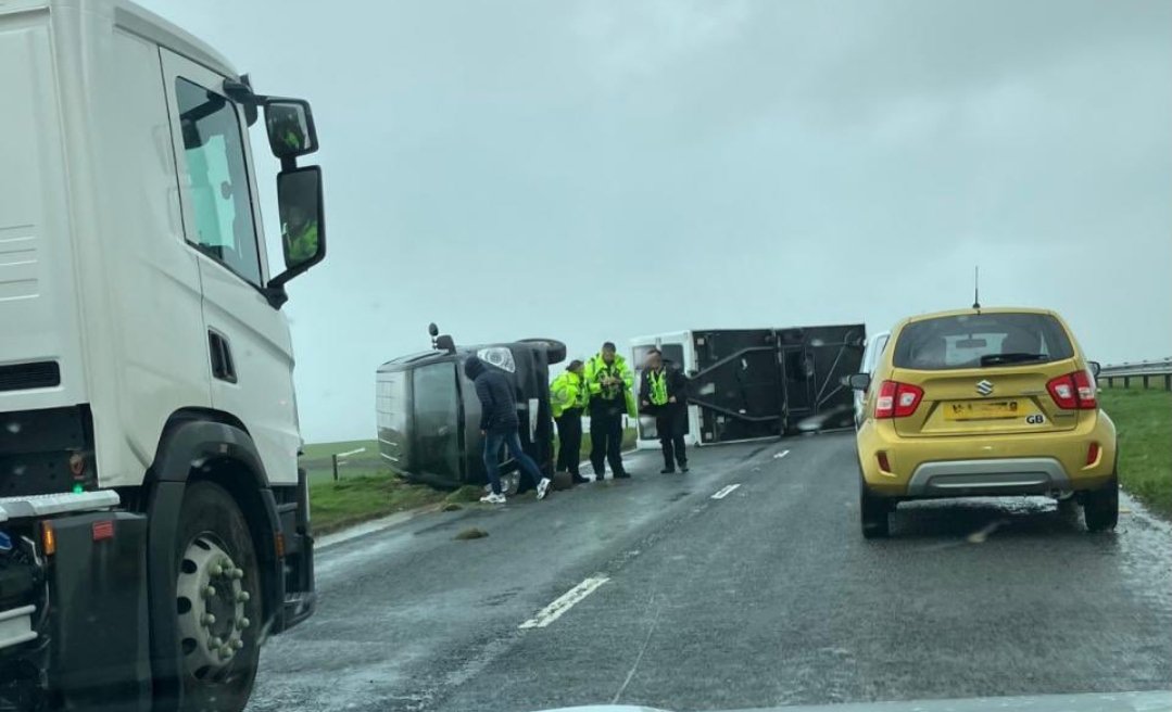 Dogknob1 tweet media