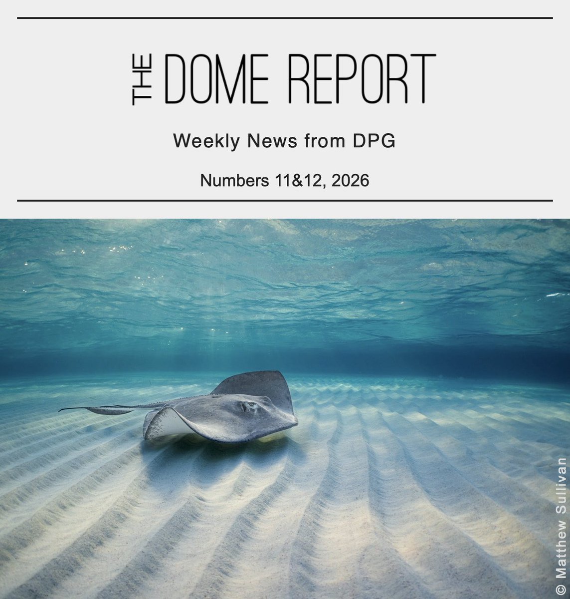 DivePhotoGuide - Underwater Photography & Video tweet media