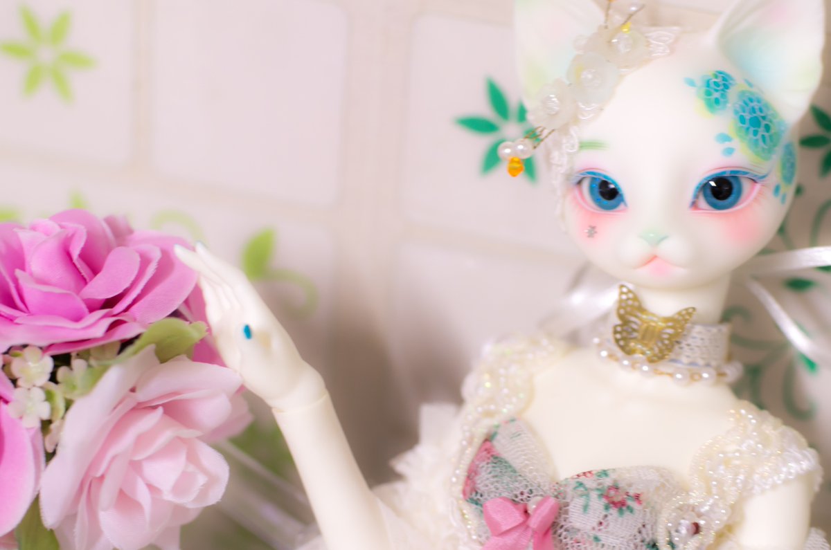 らるか tweet media