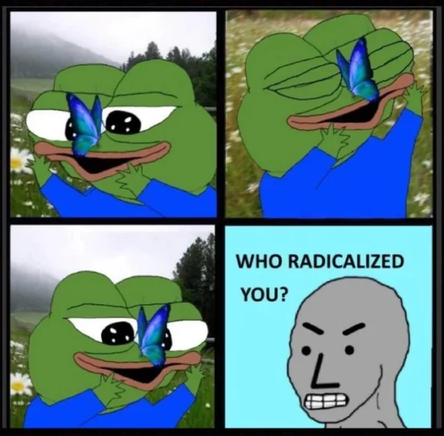 Never Wrong tweet media