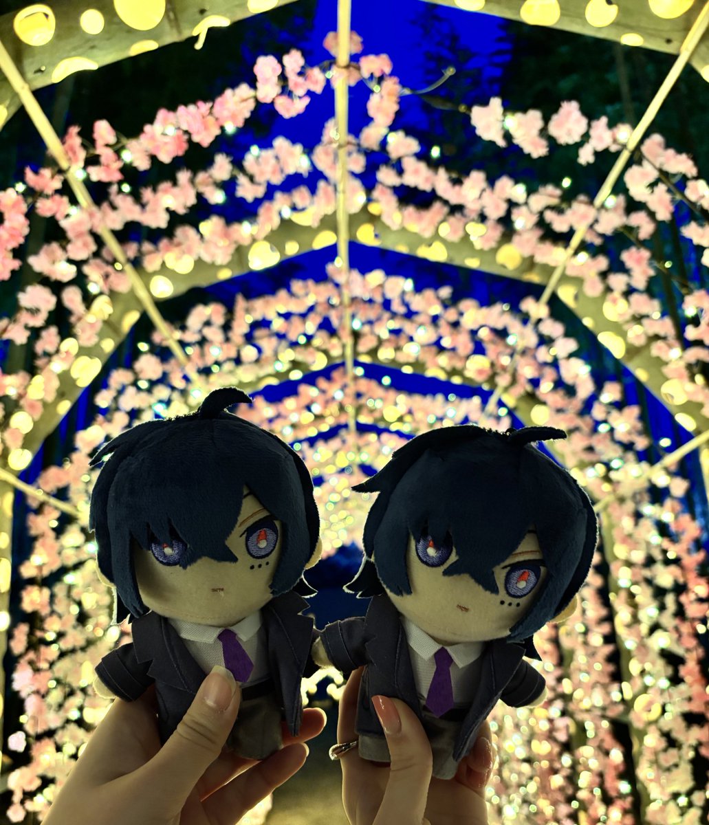 ianzk01's tweet photo. さっそく鯨木さん連れてぬい活してきた！楽しかった〜！！🌸🎋 https://t.co/u4dGSID7ih