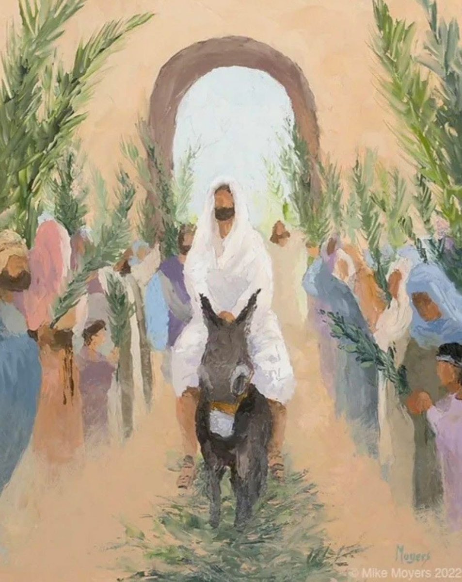 Sherezade tweet media