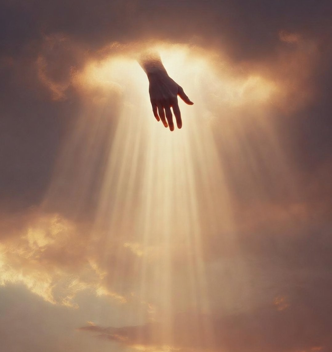 Wander 🇧🇷 tweet media