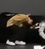 🍝해파☃️ tweet media