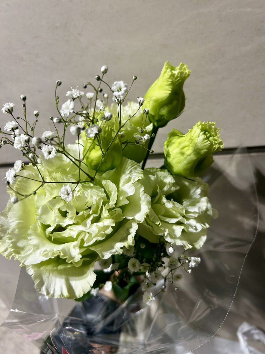 Caho🧸🎀 tweet media