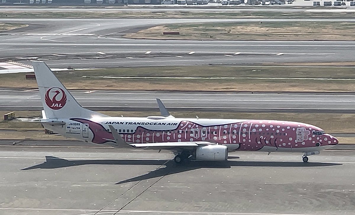 なしこ✈︎ tweet media