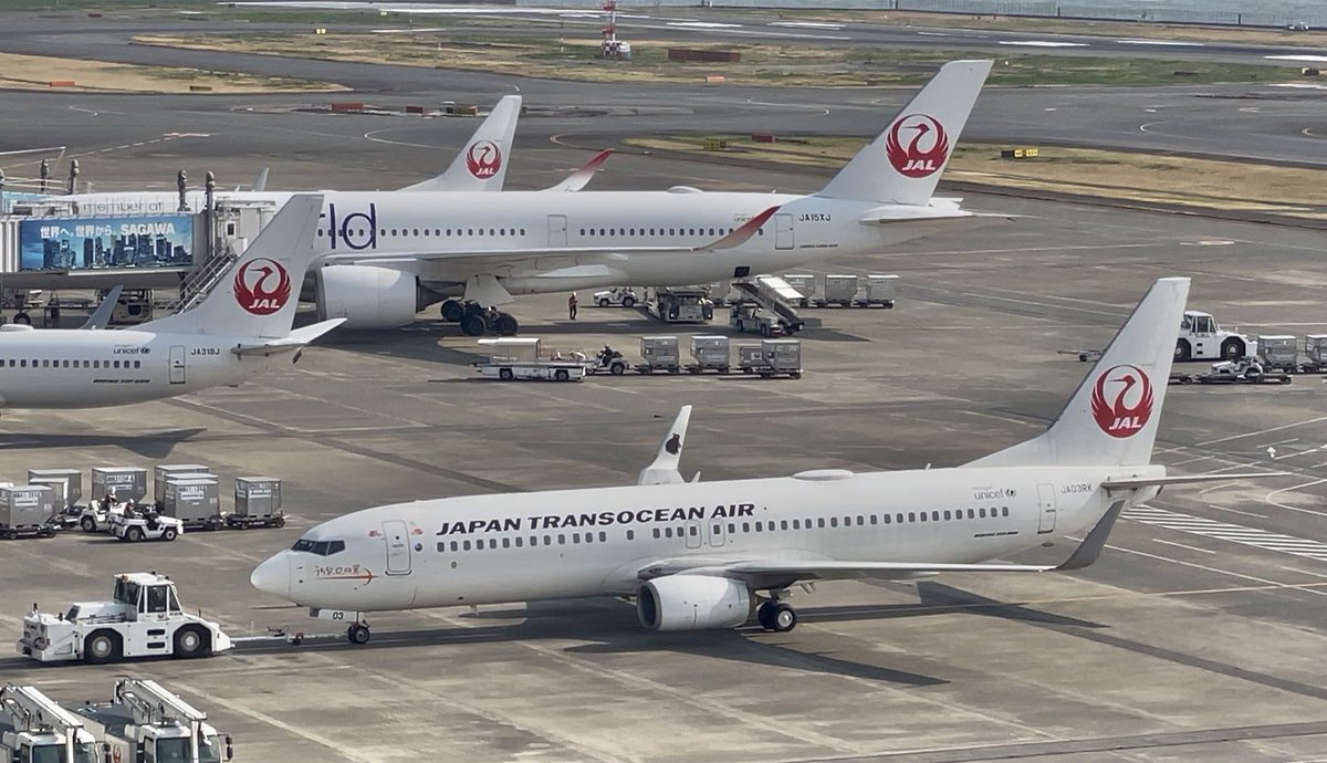 なしこ✈︎ tweet media