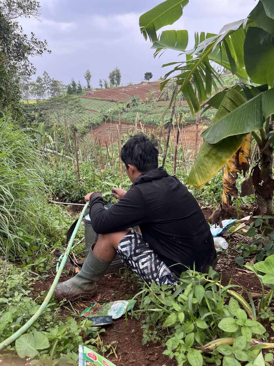 Bery ga prima tweet media