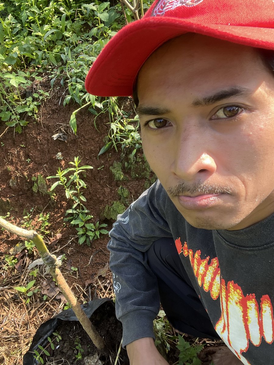 Bery ga prima tweet media