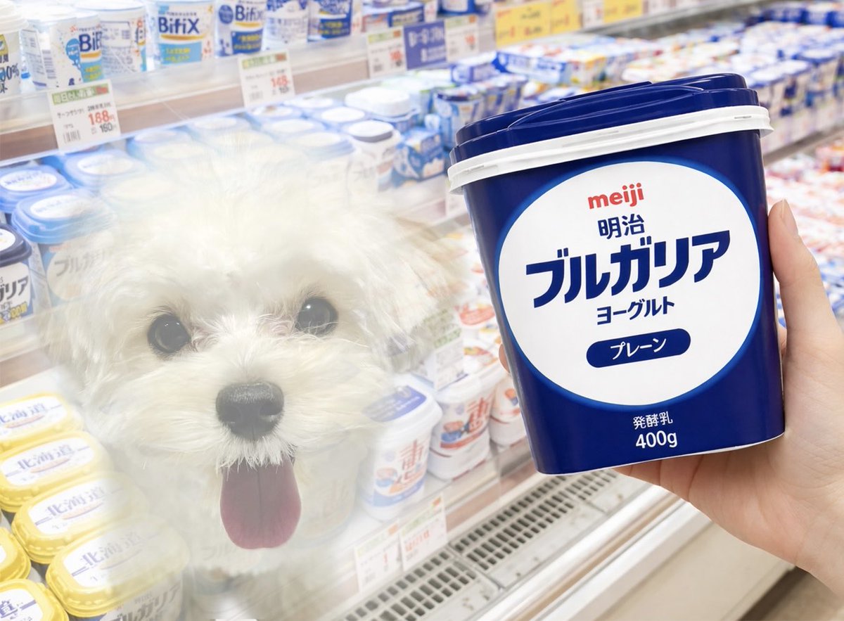 マルプーのぽてと tweet media